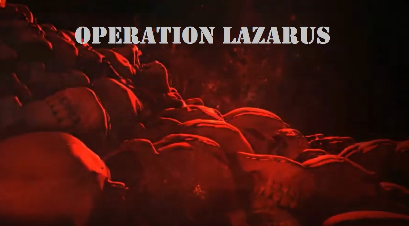 Year of the Lazarus
